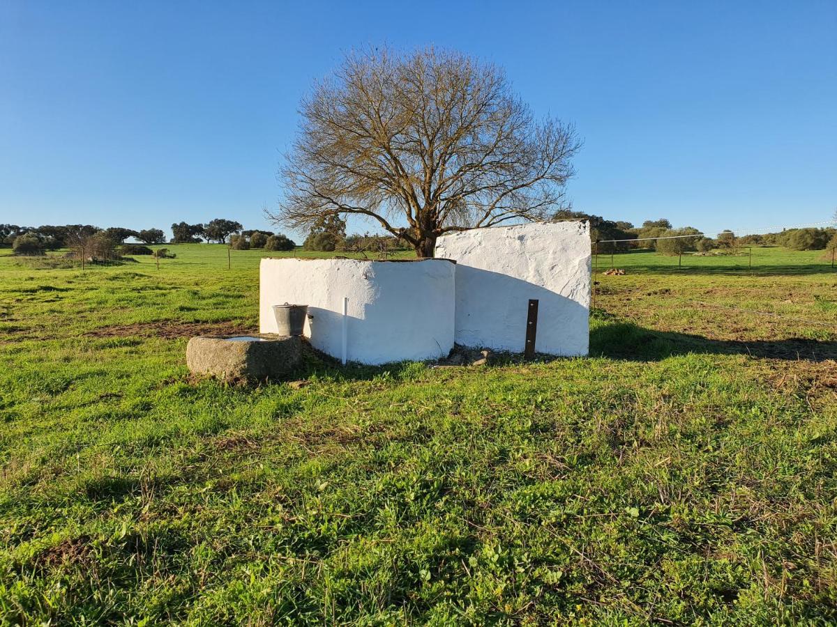Monte Das Cobras - Country House Évora Exterior foto